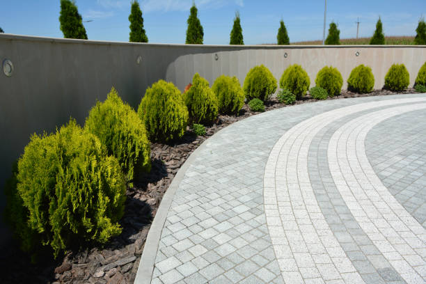 Best Custom Driveway Pavers  in Shingle Springs, CA