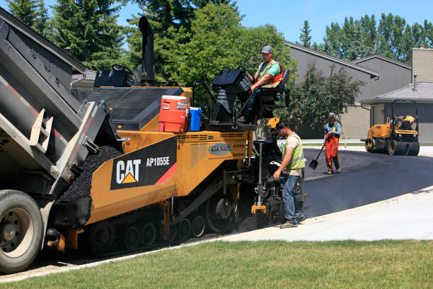Best Driveway Pavers Near Me  in Shingle Springs, CA